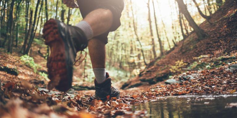 Tamarack Trail Mix: Running collector worklist assignments outside nightly job stream Tamarack Trail Mix: Running collector worklist assignments outside nightly job stream