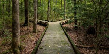 Tamarack Trail Mix: Creating delimited ASCII files with a UniQuery Tamarack Trail Mix: Creating delimited ASCII files with a UniQuery