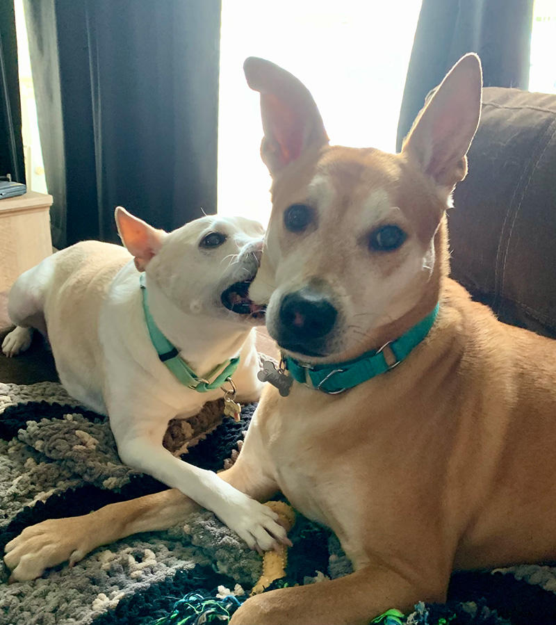 Sammy and Bea