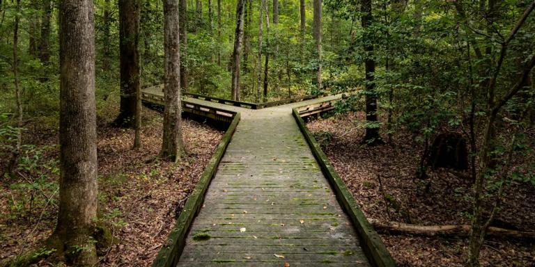 Tamarack Trail Mix: Creating delimited ASCII files with a UniQuery