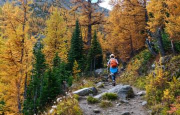 Harvest, sports and contemplation: October feels so good Harvest, sports and contemplation: October feels so good