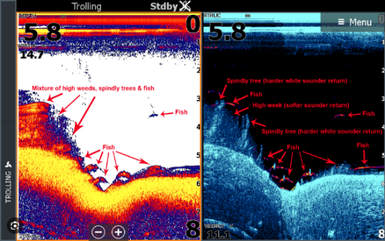 Fishing Trolling