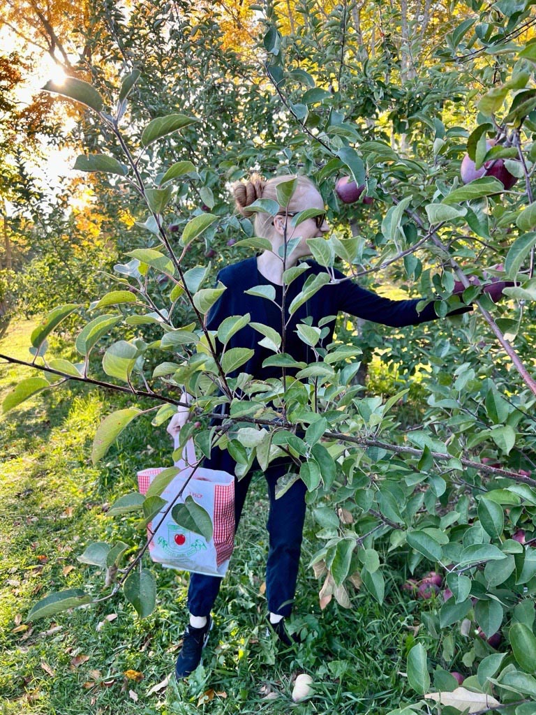 Khrystyna Voloshyn apple picking