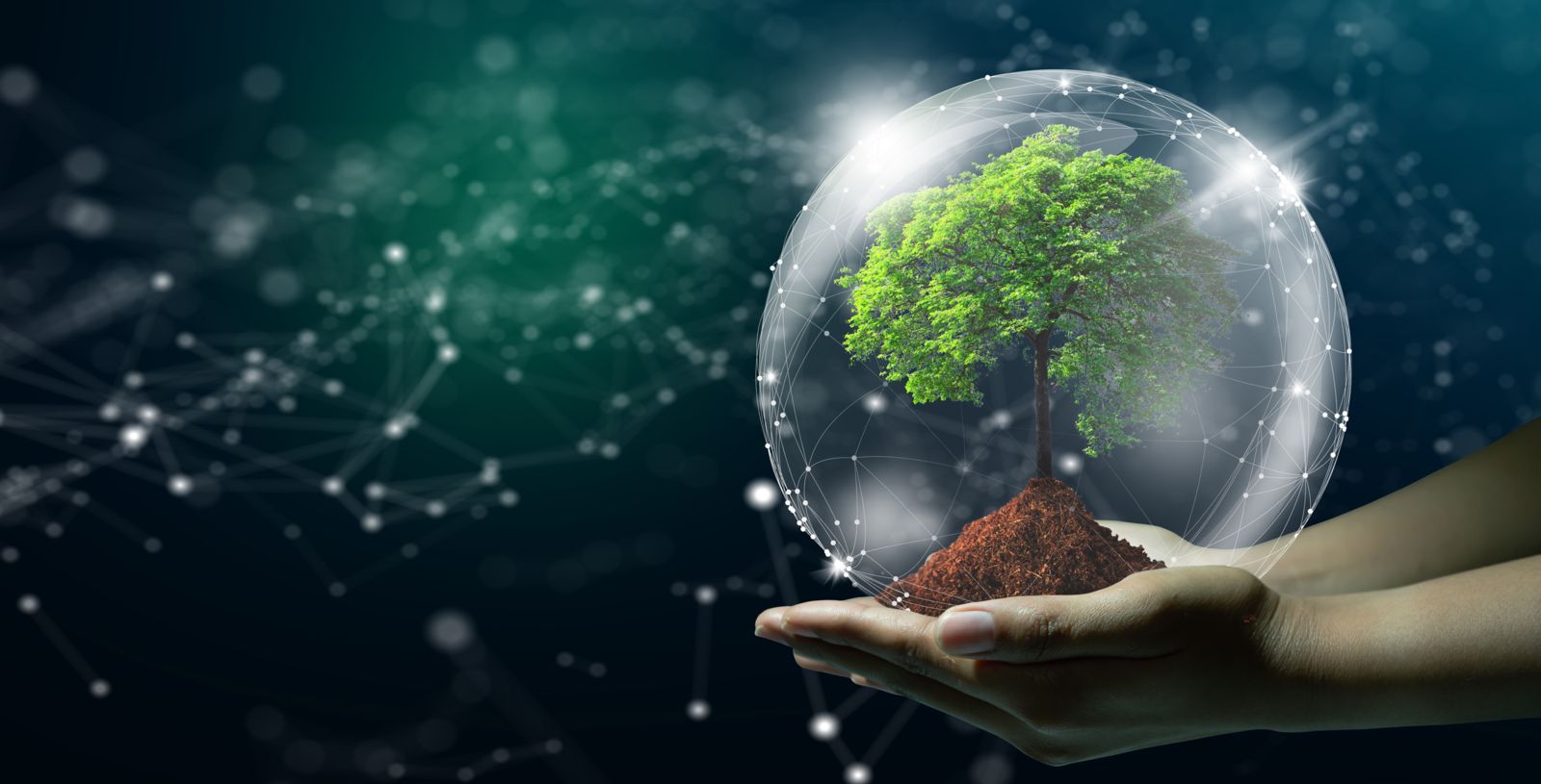Syndication Evolves Whitepaper Banner