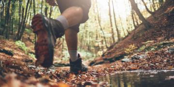 Tamarack Trail Mix: Running collector worklist assignments outside nightly job stream Tamarack Trail Mix: Running collector worklist assignments outside nightly job stream