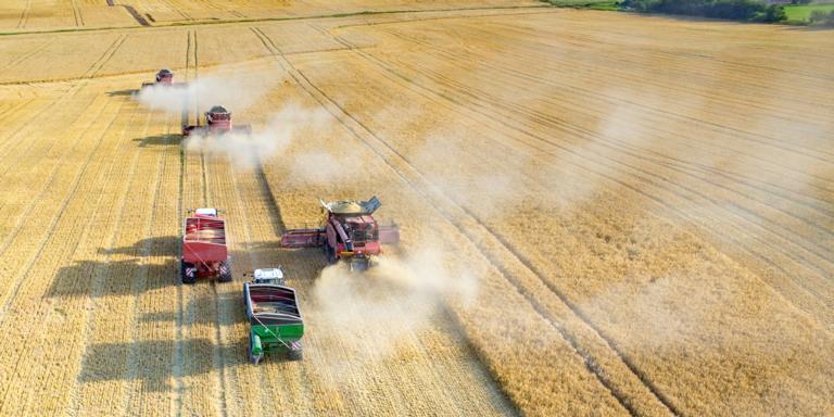 LSI Equipment Leasing implements Tamarack DataConsole™ LSI Equipment Leasing implements Tamarack DataConsole™