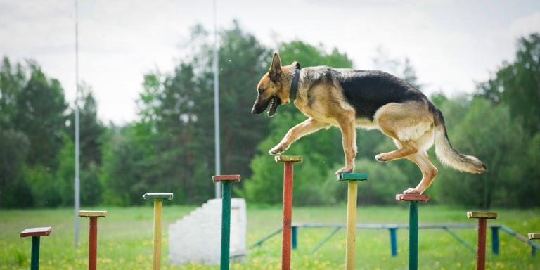 Good security hygiene – IoT or otherwise – is about discipline and diligence more than technology