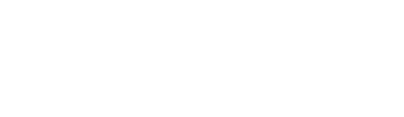 TrailView Logo