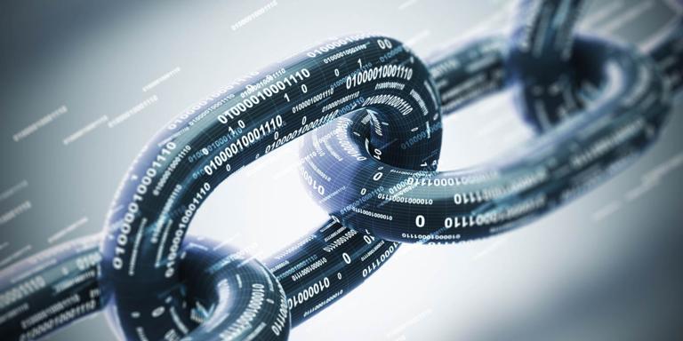 Tamarack Trail Mix: Safeguarding Customer Data within your Portfolio Management System Tamarack Trail Mix: Safeguarding Customer Data within your Portfolio Management System